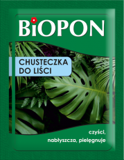 BIOPON-CHUSTECZKA DO LISCI- 15 SZT